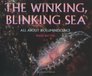 Winking Blinking Sea
