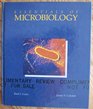 Essentials of Microbiology