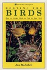 Hosting the Birds How to Attract Birds to Nest in Your Yard