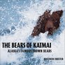 The Bears of Katmai Alaska's Famous Brown Bears