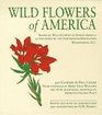 Wild Flowers of America