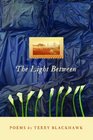 The Light Between (Made in Michigan Writers)