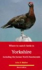 Where to Watch Birds in Yorkshire