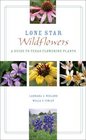 Lone Star Wildflowers A Guide to Texas Flowering Plants