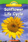 Sunflower Life Cycle (Science Vocabulary Readers)