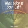 What Color Is Your Cat A Personality Guide for Every Shade of Feline