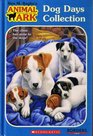 Animal Ark Dog Days Collection: Puppies in the Pantry/Dog at the Door/Sheepdog in the Snow