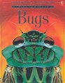 Discovery Program Bugs