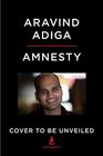 Amnesty: A Novel