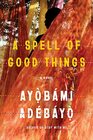 A Spell of Good Things A novel