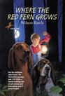 Where the Red Fern Grows With Connections