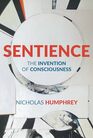 Sentience The Invention of Consciousness