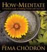 How to Meditate With Pema Chodron: A Practical Guide to Making Friends With Your Mind