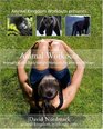 Animal Workouts: Animal Inspired Bodyweight Workouts For Men And Women (Volume 1)