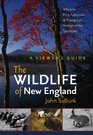The Wildlife of New England A Viewer's Guide