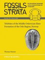 Fossils and Strata Volume 56 Trilobites of the Middle Ordovician Elnes Formation of the Oslo Region Norway