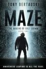 Maze The Waking of Grey Grimm