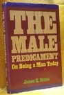 The Male Predicament On Being a Man Today