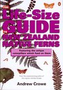 Lifesize Guide to New Zealand Native Ferns Featuring the Caterpillars Which Feed on Them