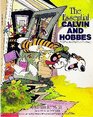 The Essential Calvin And Hobbes (A Calvin and Hobbes Treasury)