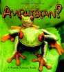 What is an Amphibian