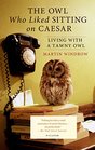 The Owl Who Liked Sitting on Caesar Living with a Tawny Owl