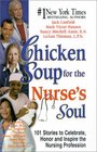 Chicken Soup for the Nurse's Soul  101 Stories to Celebrate Honor and Inspire the Nursing Profession