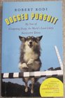 Dogged Pursuit - My Year of Competing Dusty, the World's Least Likely Agility Dog