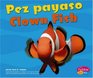 Pez payaso / Clown Fish