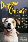 Doggone Chicago Sniffing Our the Best Places to Take Your Best Friend