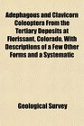 Adephagous and Clavicorn Coleoptera From the Tertiary Deposits at Florissant Colorado With Descriptions of a Few Other Forms and a Systematic