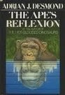 Ape's Reflexion
