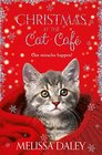 Christmas at the Cat Cafe (Cat Cafe, Bk 2)