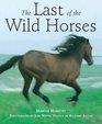 The Last Of The Wild Horses