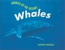 Animals of the Ocean  Whales