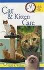 Cat  Kitten Care