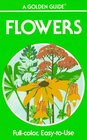 Flowers: A Guide to Familiar American Wildflowers (Golden Guides)