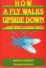 How a Fly Walks UpsideDown and Other Curious Facts