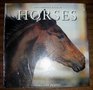 The Complete Book of Horses