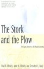 The Stork and the Plow  The Equity Answer to the Human Dilemma