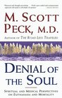 Denial of the Soul : Spiritual and Medical Perspectives on Euthanasia and Mortality