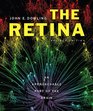 The Retina An Approachable Part of the Brain Revised Edition