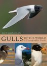 Gulls of the World A Photographic Guide
