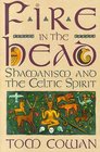 Fire in the Head  Shamanism and the Celtic Spirit