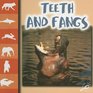 Teeth and Fangs