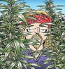 The Weed Whisperer A Doonesbury Book
