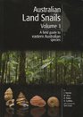 Australian Land Snails  Volume 1  A Field Guide To Eastern Australian Species