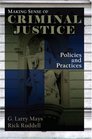Making Sense of Criminal Justice Policies and Practices
