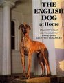 The English Dog at Home