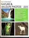 How to Take Great Nature  Wildlife Photos